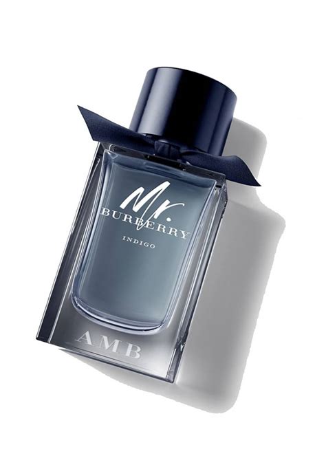 burberry mr burberry indigo eau de toilette 100 ml|mr burberry indigo boots.